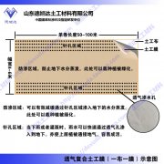 德旭達(dá)新品透氣復(fù)合土工膜